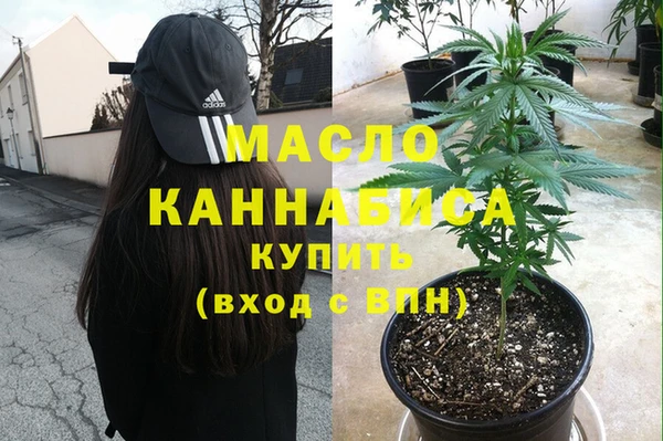 крисы Инсар