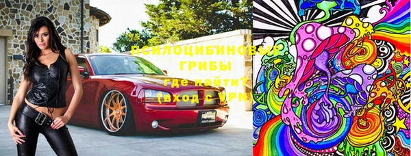 крисы Инсар