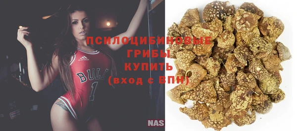 мдпв Иннополис