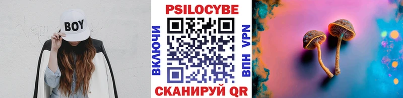 Псилоцибиновые грибы мицелий  Купить  Купино 